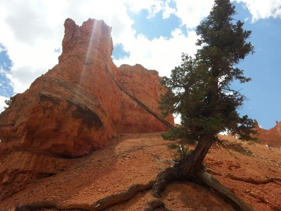 .......hier gefällt es uns super gut...
