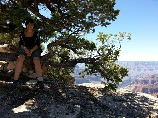 ...ein wenig Schatten tut echt gut..., und auf dem Baum sitzen macht auch noch Spass dazu.