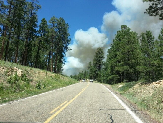 Bei der Weiterfahrt erleben wir dann noch live, wie es zu den verkohlten Bäumen kommt - Waldbrand in Echt!!!