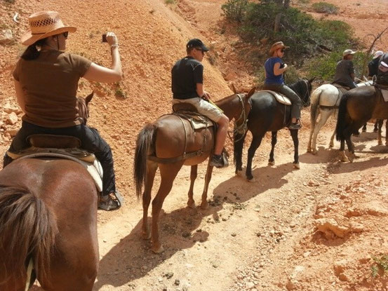 ....Canyon rauf und Canyon runter...