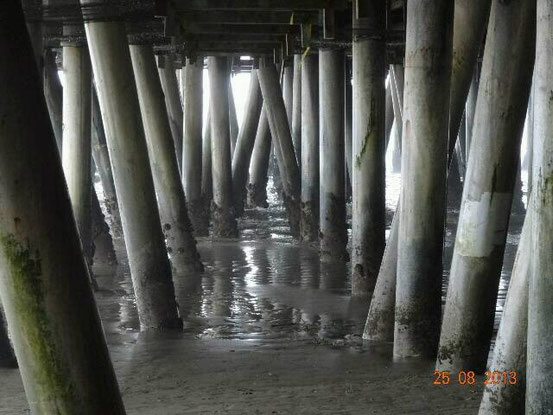 ...als letztes noch unter dem Boardwalk auf Erkundungstour gehen.