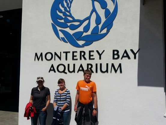 ....und da wir nun schon mal in Monterey sind, gehen wir gleich noch in das berühmte Monterey Aquarium. Das hat uns echt beeindruckt.