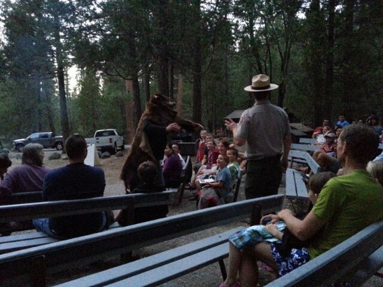 Ein Ranger hat uns auf dem Wawona Campground bei einem Camp Fire über das Leben als Schwarzbär aufgeklärt - lustig war, dass er in dieser Saison noch keinen gesehen hat - im Gegensatz zu uns:-) 