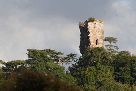 Les ruines de la tour de Cesson Les ruines de la tour de Cesson - Достопримечательности Сен-Бриё