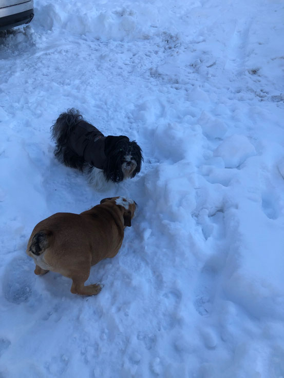 Danae avec Raven sa nouvelle copine.