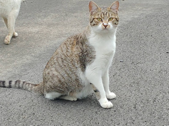 今朝のマーロさん。両手の肘当て、両足の膝当て模様がかわいいんです。