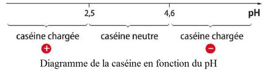Extrait de la fiche de T.P.