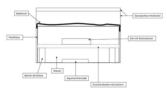 Um Bild zu vergrössern bitte draufklicken