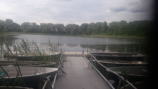 Vereinsgewässer Buckowsee
