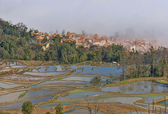 von chensiyuan (chensiyuan) [GFDL (http://www.gnu.org/copyleft/fdl.html) oder CC-BY-SA-3.0-2.5-2.0-1.0 (http://creativecommons.org/licenses/by-sa/3.0)], via Wikimedia Commons