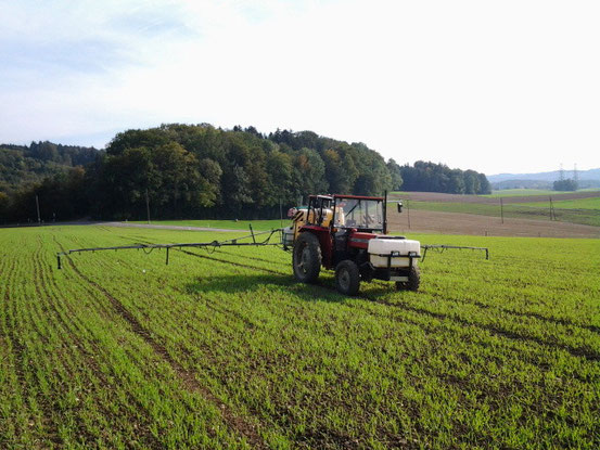 MF 240 45 Ps 12.5m AB Herbstbehandlung Herbizid Wintergerste 05.10.2012