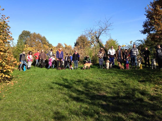 K9 games ( jeux canin) sous un beau soleil d'octobre