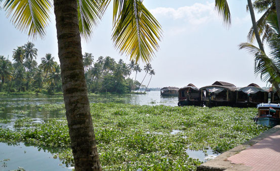 Alleppey India Indien Kerala Backwaters