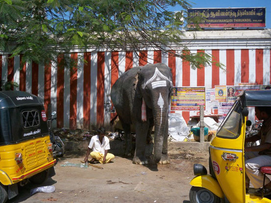 Palani India Indien Tamil Nadu Tempel Hinduismus
