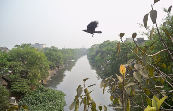 Kalkutta Kolkata India Indien