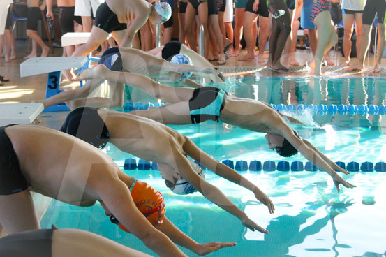 Compétition UFLOLEP de natation avec les élèves de l'école de nage Aquabul #club #natation