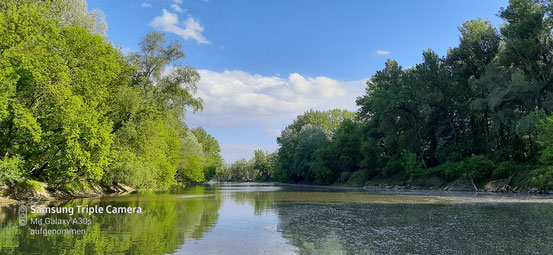 Apfelteich Langenzersdorf Fischen in Niederösterreich