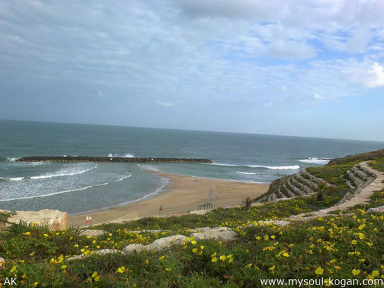  Ашкелон  Ashkelon