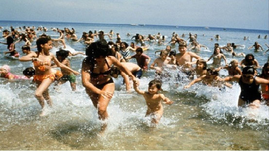 Les Dents De La Mer de Steven Spielberg - 1975 / Horreur - Animal Tueur