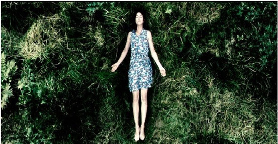 Antichrist de Lars Von Trier - 2009
