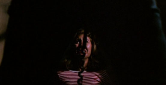 Slumber Party Massacre (1982) 