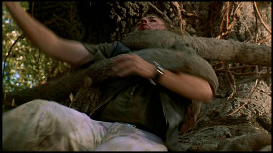 La Nurse (1990) 