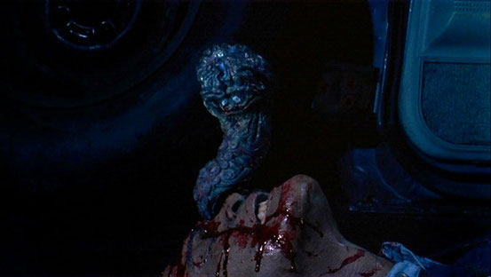 Elmer - Le Remue Méninges de Frank Henenlotter - 1988 / Horreur - Gore 