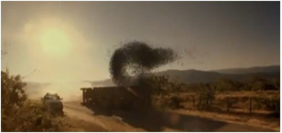 The Stingers - Les Guêpes Tueuses de Paul Andresen - 2003
