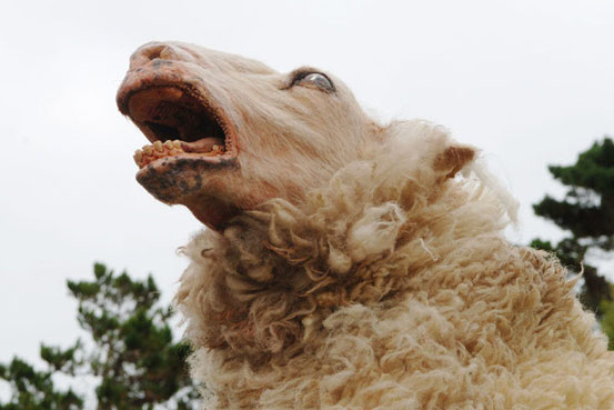 Black Sheep de Jonathan King - 2007