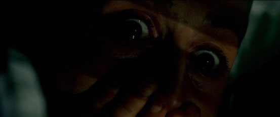 Haute Tension de Alexandre Aja - 2003 / Horreur