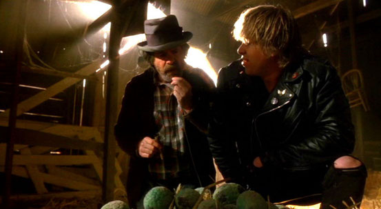 Critters 2 de Mick Garris - 1988 / Fantastique - Horreur