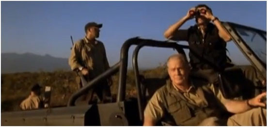 The Stingers - Les Guêpes Tueuses de Paul Andresen - 2003