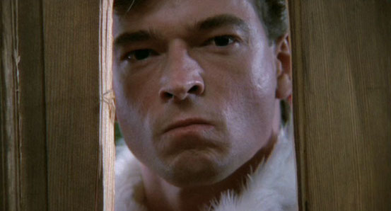 Douce Nuit - Sanglante Nuit 2 de Lee Harry - 1987 / Horreur - Slasher