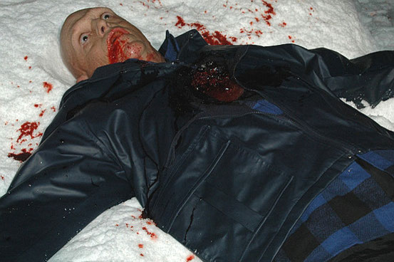 Blood Snow de Jason Robert Stephens - 2009