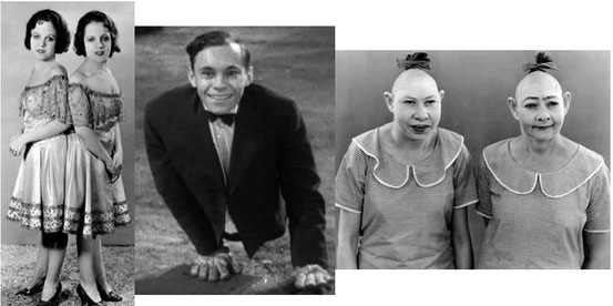 Freaks - La Monstrueuse Parade de Tod Browning - 1932 / Horreur