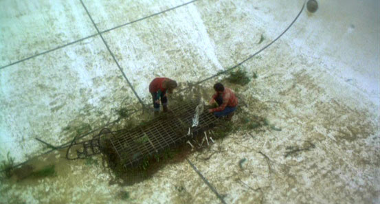 Piranhas (1978) 