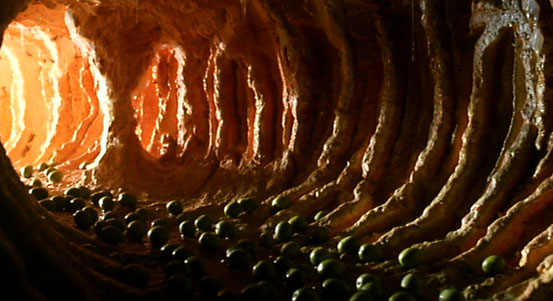 Contamination de Luigi Cozzi - 1980 / Science-Fiction - Horreur