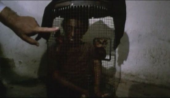 Ratman (1988)