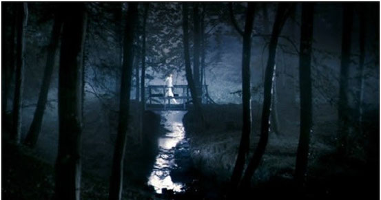 Antichrist de Lars Von Trier - 2009