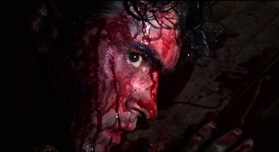Evil Dead de Sam Raimi - 1981 / Horreur- Gore