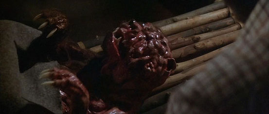 Prophecy - Le Monstre Est Né de John Frankenheimer - 1979 / Horreur - Animal Tueur  