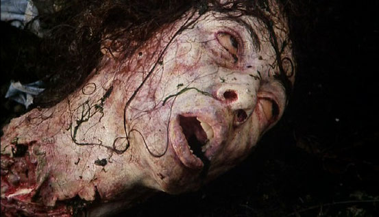 C.H.U.D. de Douglas Cheek - 1984 / Horreur