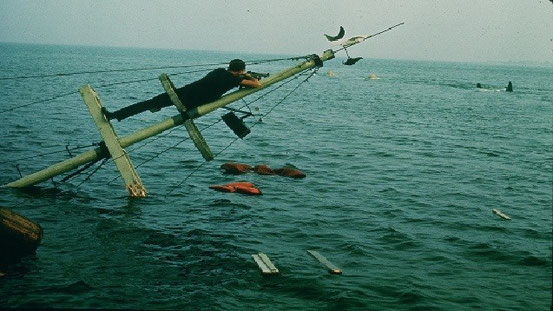 Les Dents De La Mer de Steven Spielberg - 1975 / Horreur - Animal Tueur
