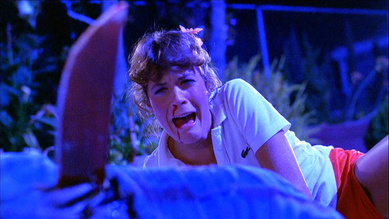 Slumber Party Massacre (1982) 