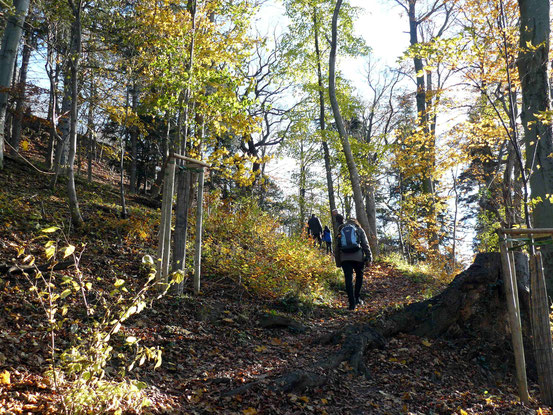 Weg zum Agnesberg, Stempelstelle 31, Harzer Wandernadel