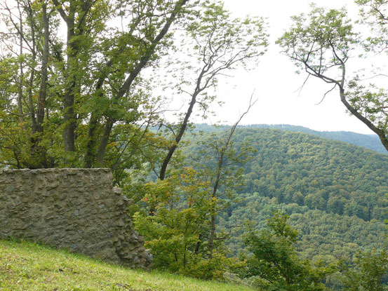 Blick vom Burgberg/ Bad Harzburg in den Harz