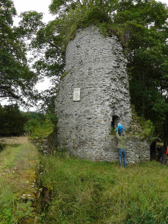 Pilze Und Stempel Sammeln Bei Konigshutte Im Harz Monika Herbst