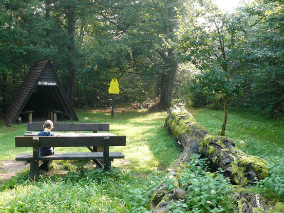 Pausenplatz im Wald mit Bank, Schutzhütte, bemoostem Baumstamm