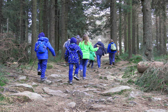 Wanderung Familien Oderbrück Achtermann