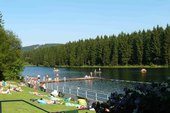 Liebesbankweg: Die perfekte Sommer-Tour - Monika Herbst